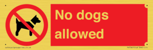 No dogs allowed